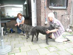 Klik om de afbeelding te vergroten Klik om de afbeelding te vergroten